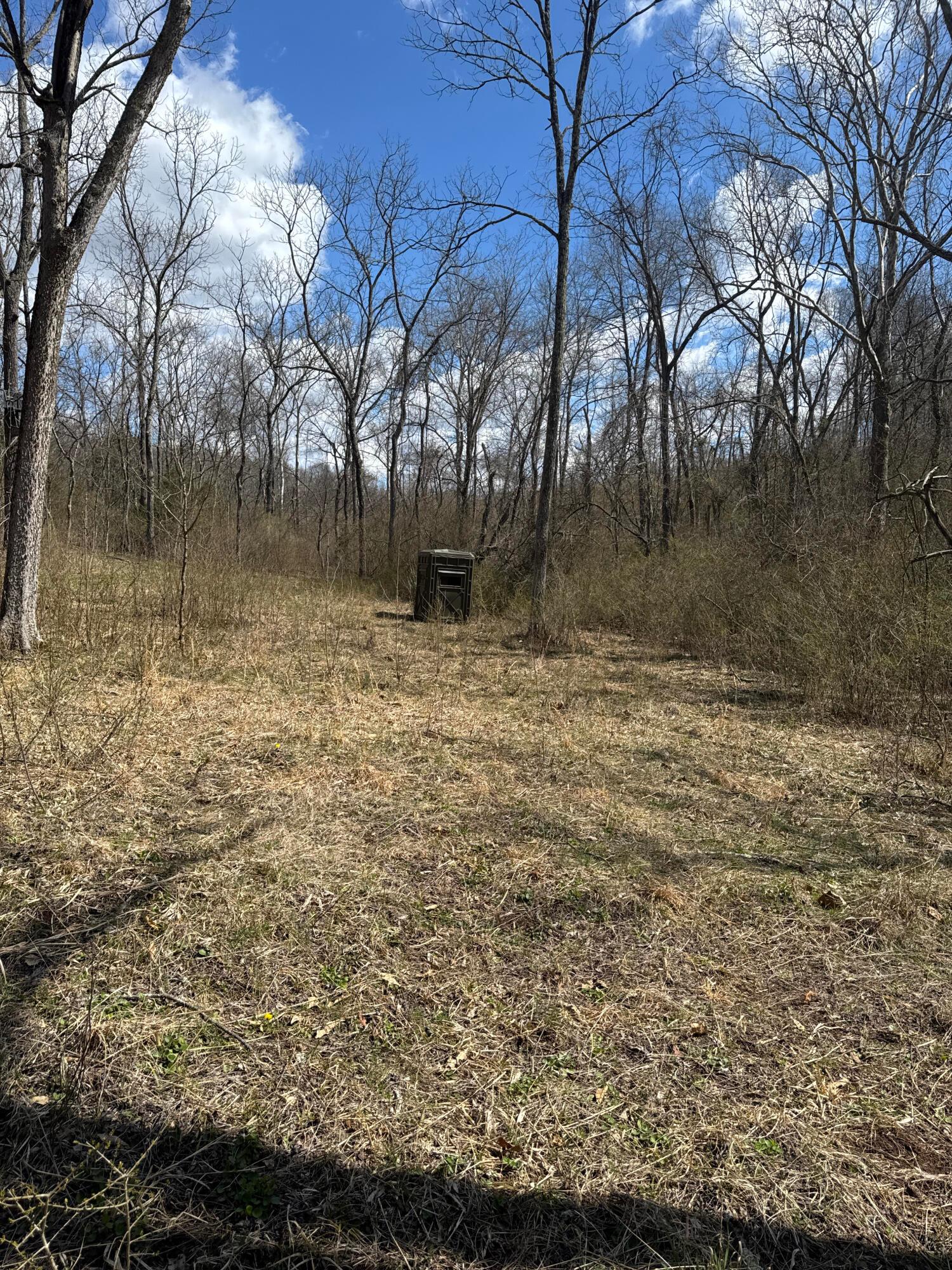0 Left Fork Road Property Photo 9