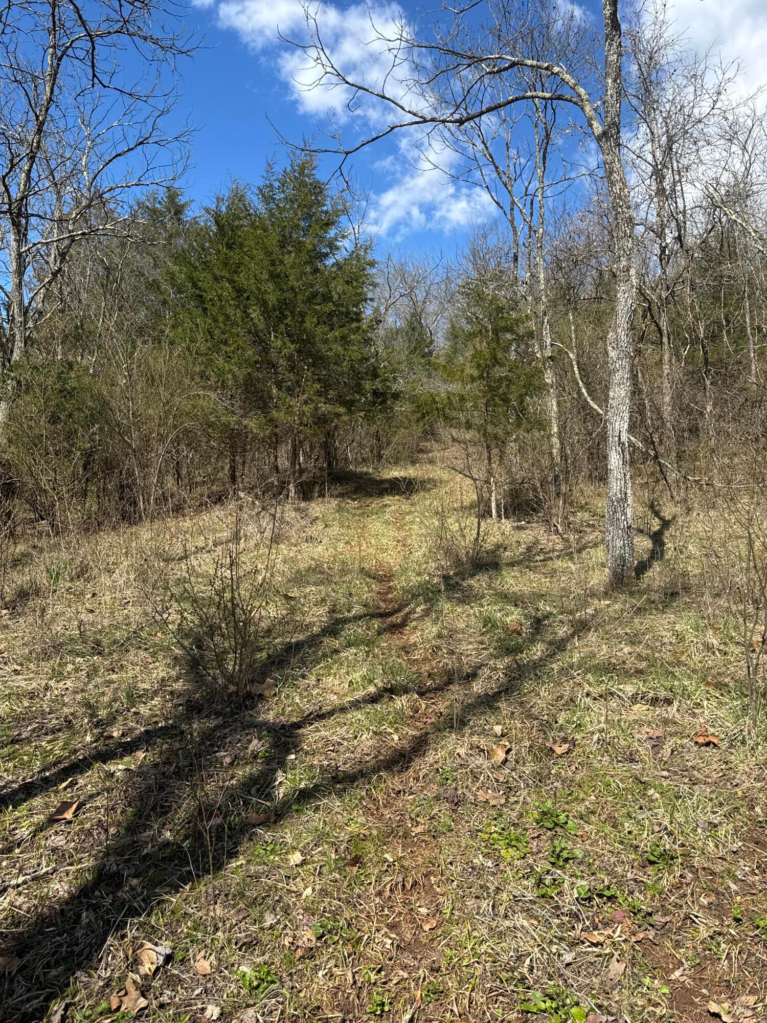 0 Left Fork Road Property Photo 12