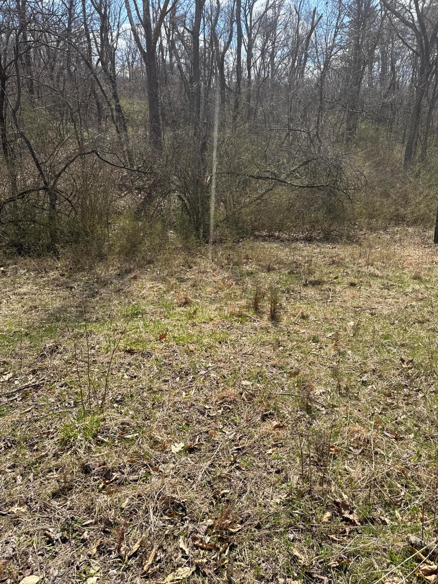 0 Left Fork Road Property Photo 21