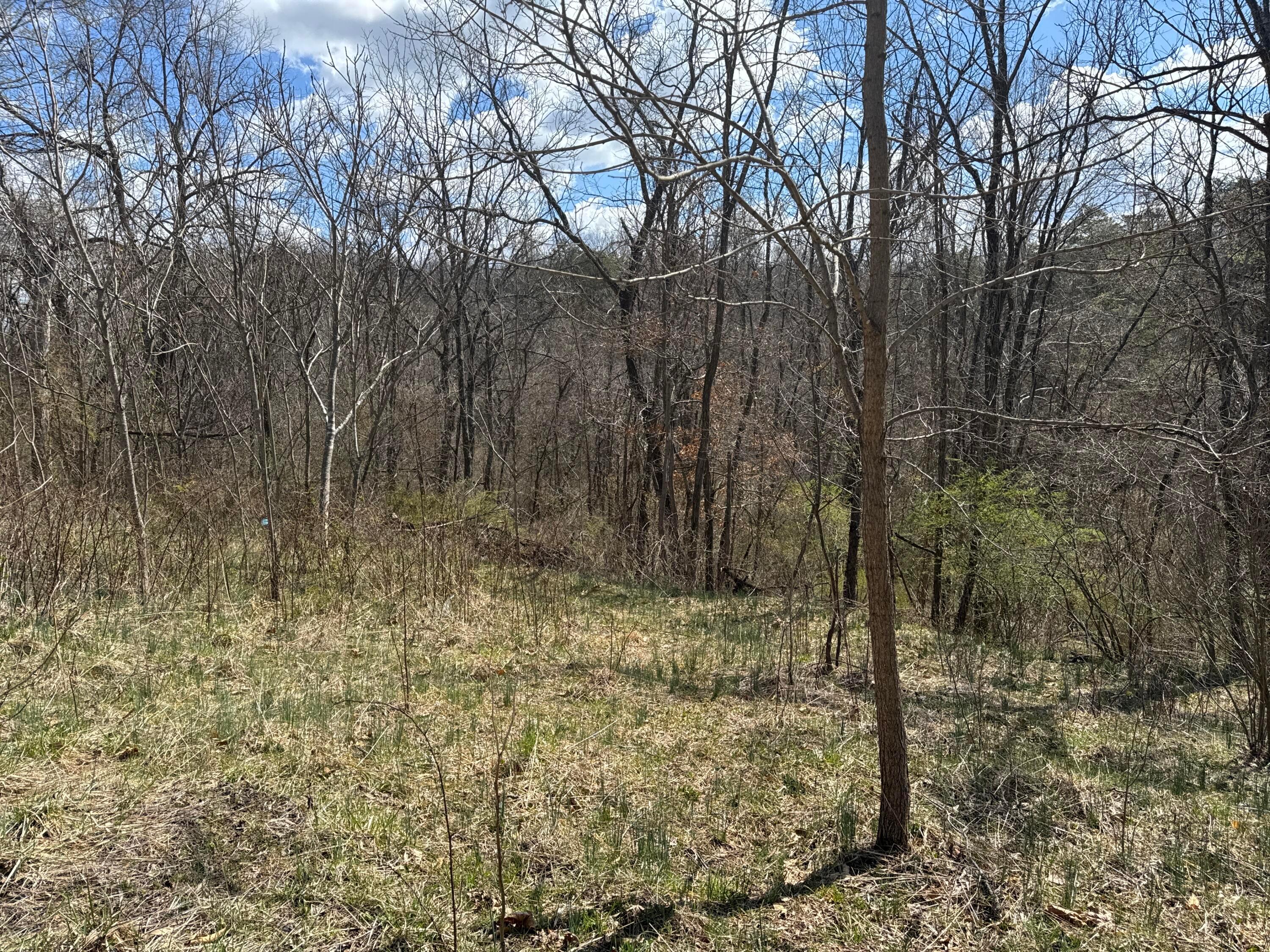 0 Left Fork Road Property Photo 23