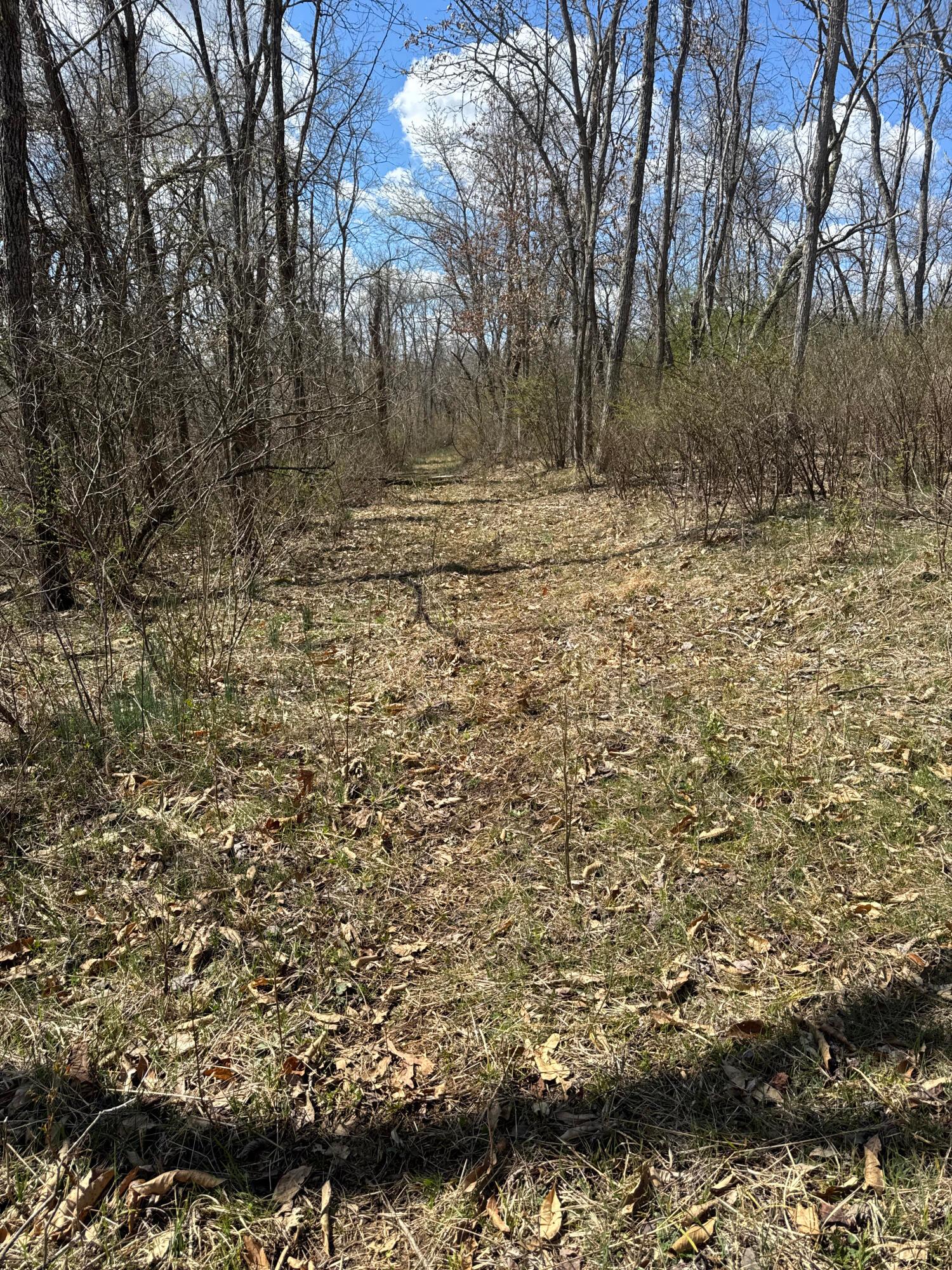 0 Left Fork Road Property Photo 25