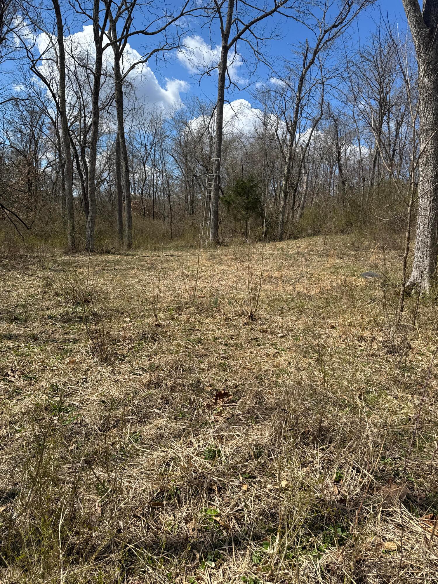 0 Left Fork Road Property Photo 26