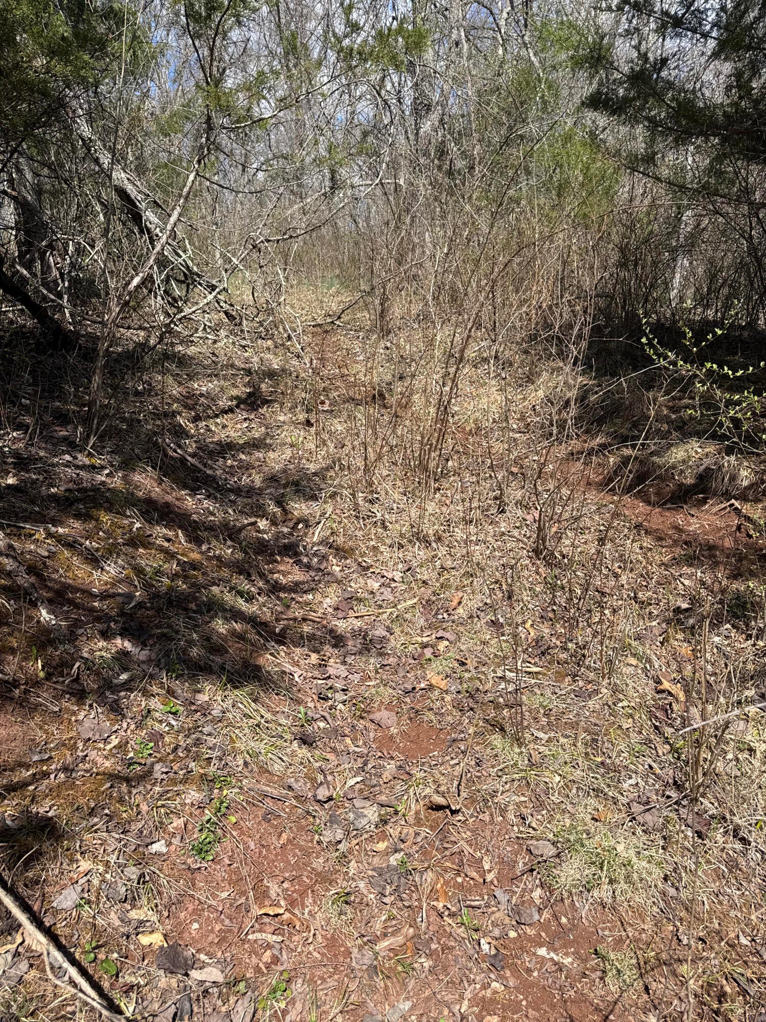 0 Left Fork Road Property Photo 27