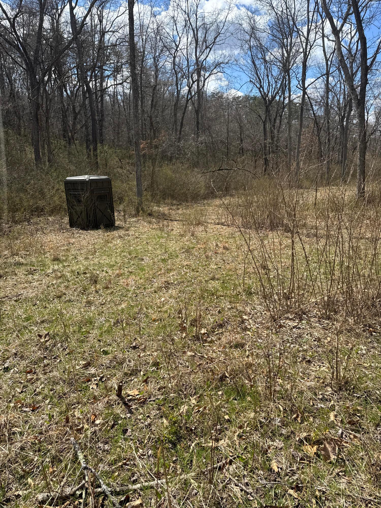 0 Left Fork Road Property Photo 28