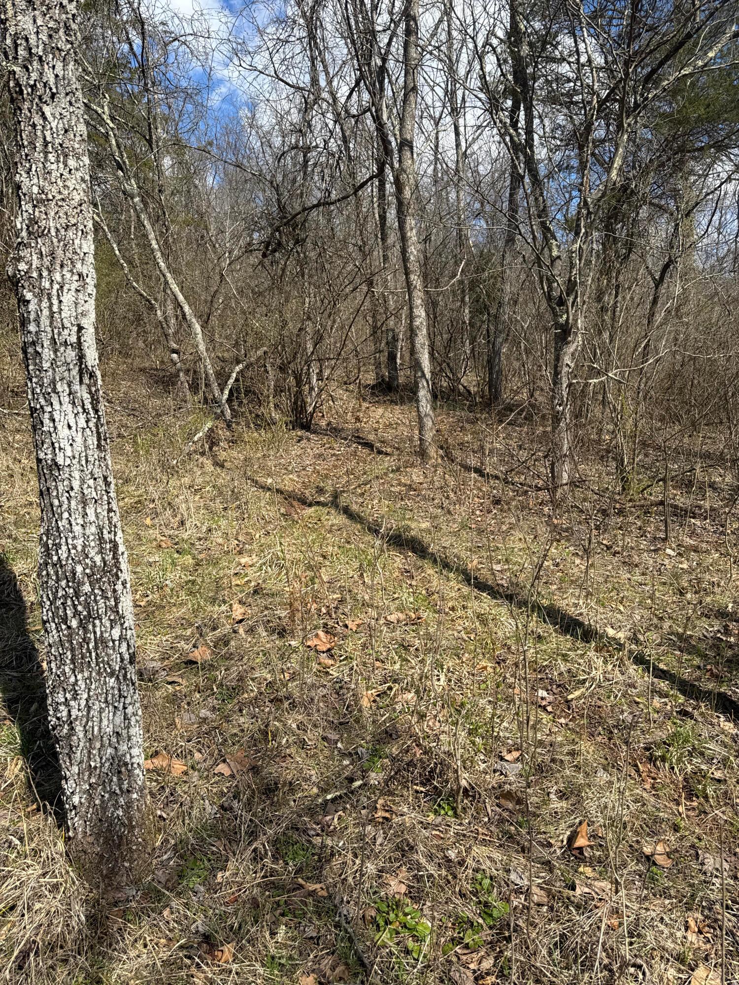 0 Left Fork Road Property Photo 30