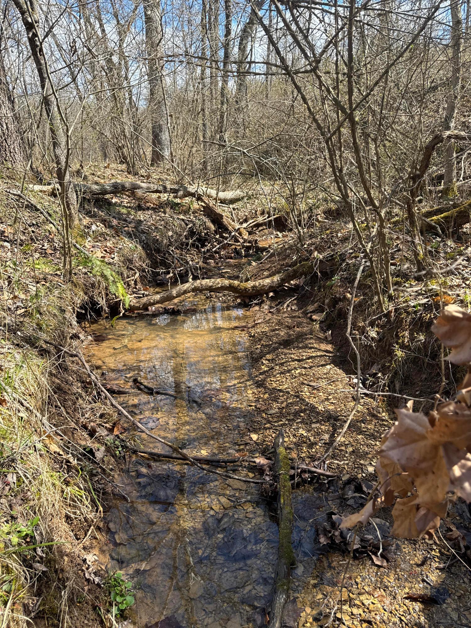 0 Left Fork Road Property Photo 33