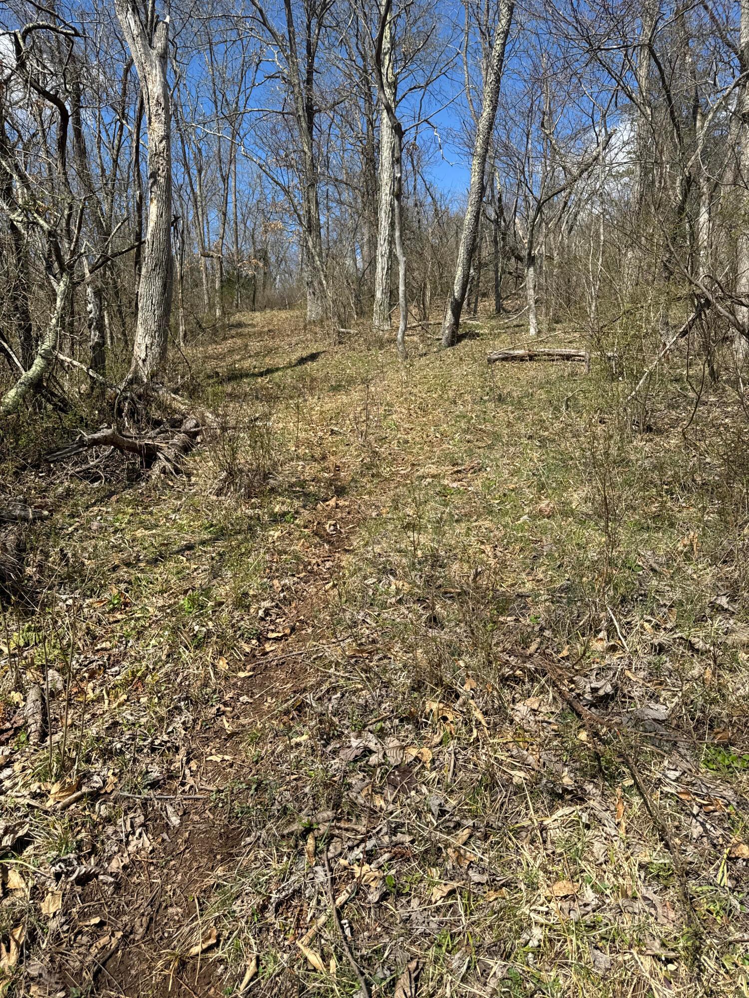 0 Left Fork Road Property Photo 34