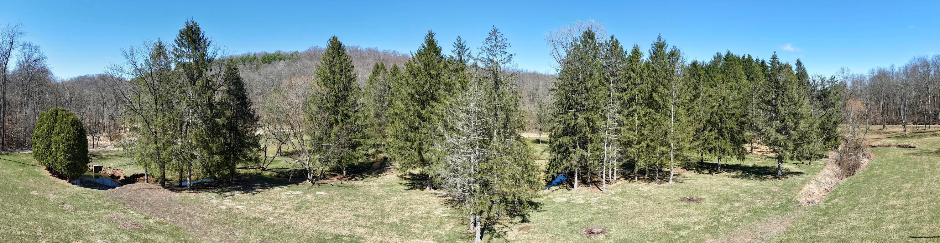 34383 Township Road 351 Property Photo 4