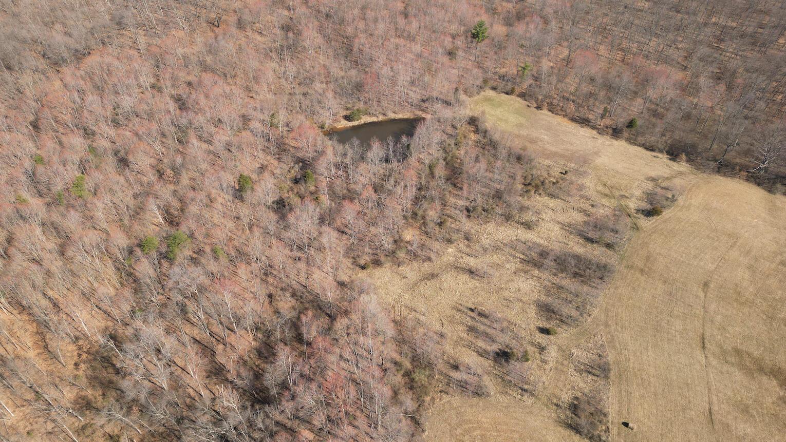 935 Keiser Road Property Photo 6