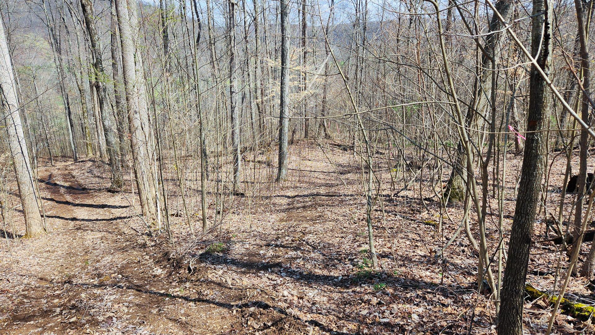 0 Pike Lake Rd Road, (tract 1 Pike Lake Getaway) Property Photo 3