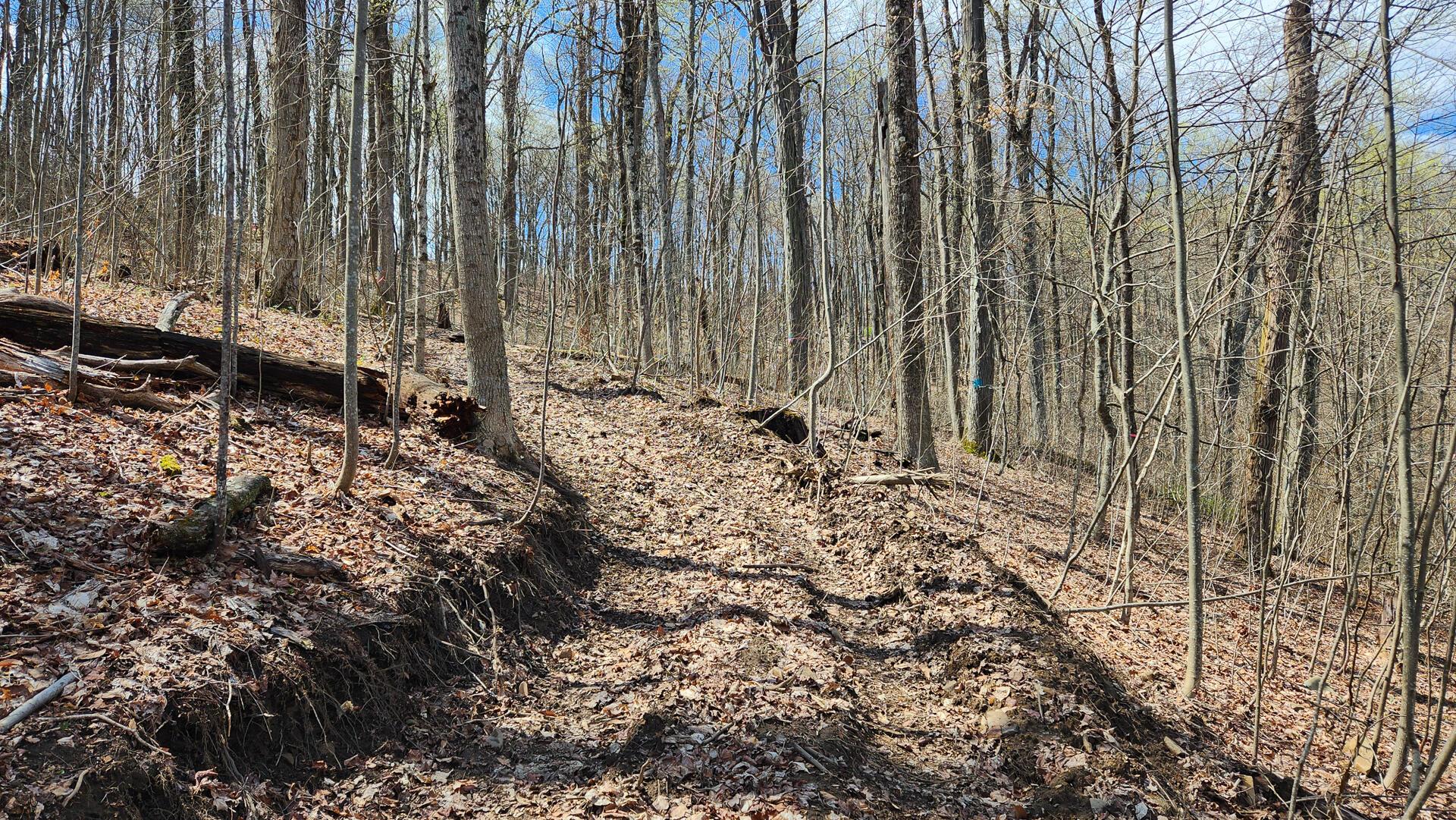0 Pike Lake Rd Road, (tract 1 Pike Lake Getaway) Property Photo 5