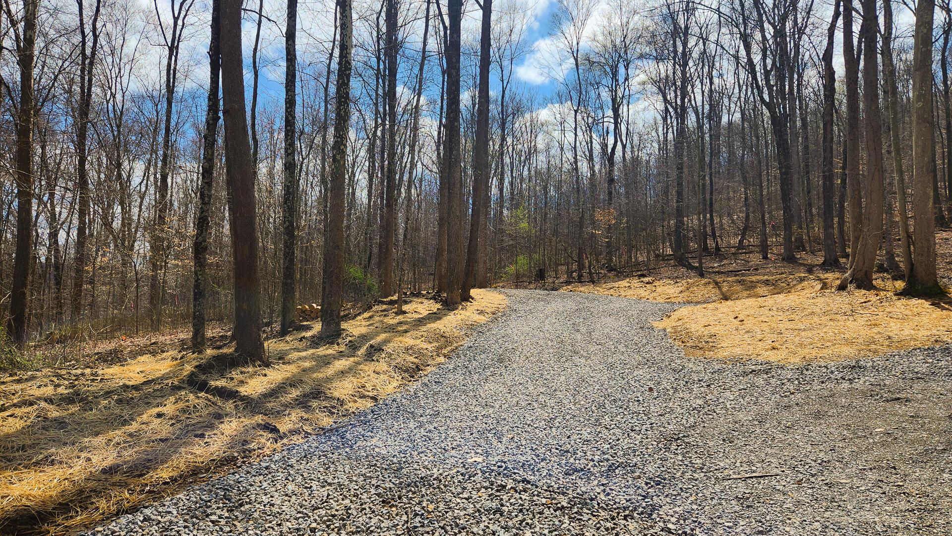 0 Pike Lake Rd Road, (tract 1 Pike Lake Getaway) Property Photo 10