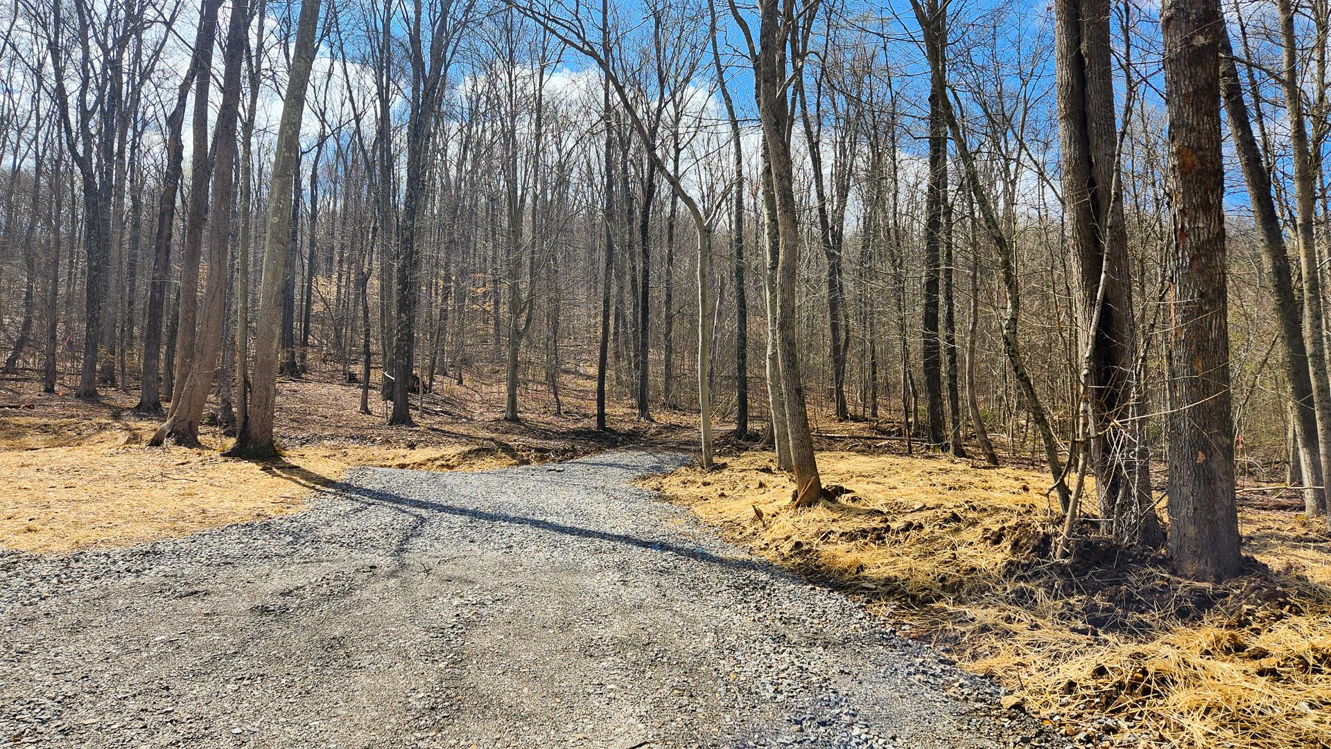 0 Pike Lake Rd Road, (tract 1 Pike Lake Getaway) Property Photo 11
