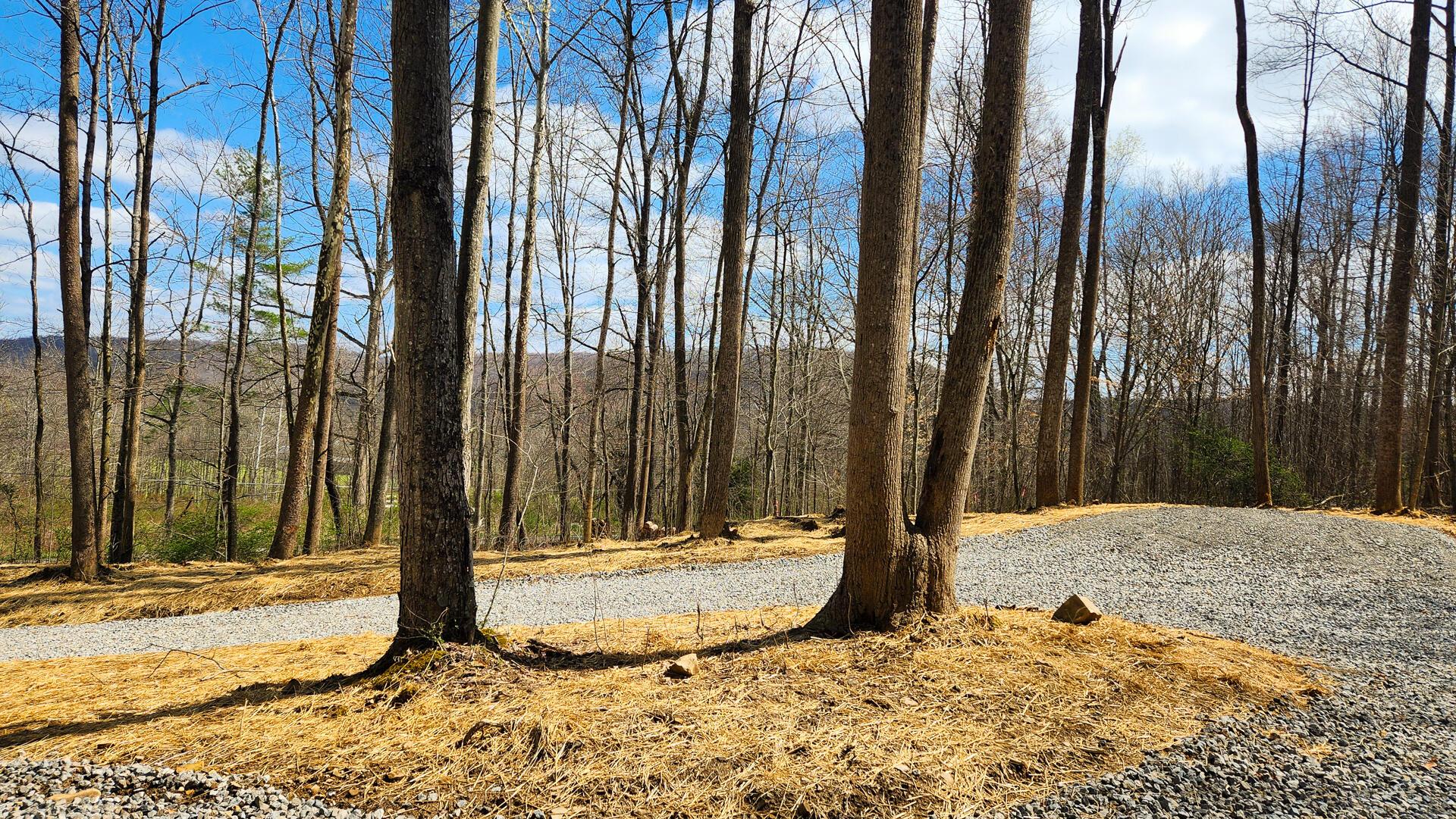 0 Pike Lake Rd Road, (tract 1 Pike Lake Getaway) Property Photo 12