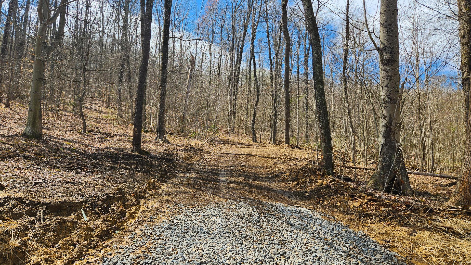 0 Pike Lake Rd Road, (tract 1 Pike Lake Getaway) Property Photo 13