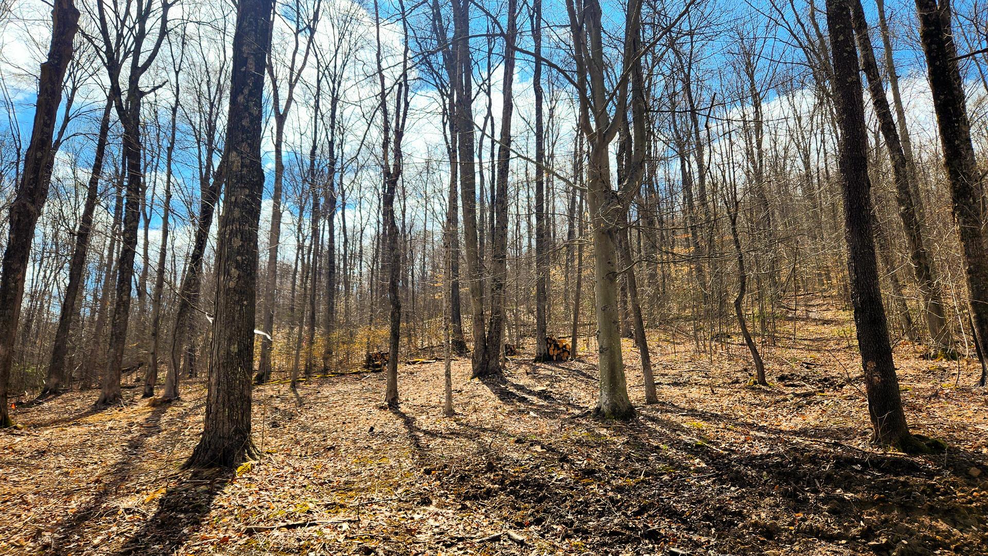 0 Pike Lake Rd Road, (tract 1 Pike Lake Getaway) Property Photo 15