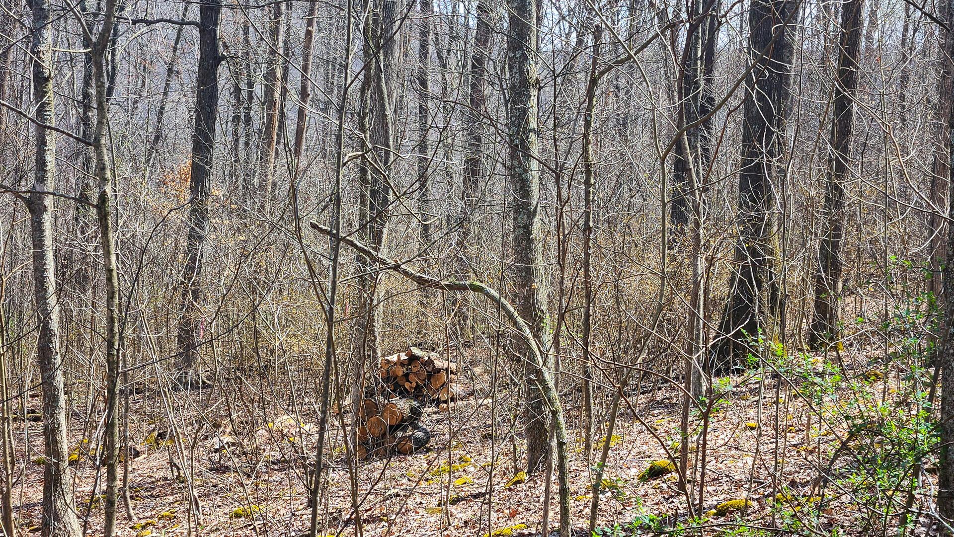 0 Pike Lake Rd Road, (tract 1 Pike Lake Getaway) Property Photo 17
