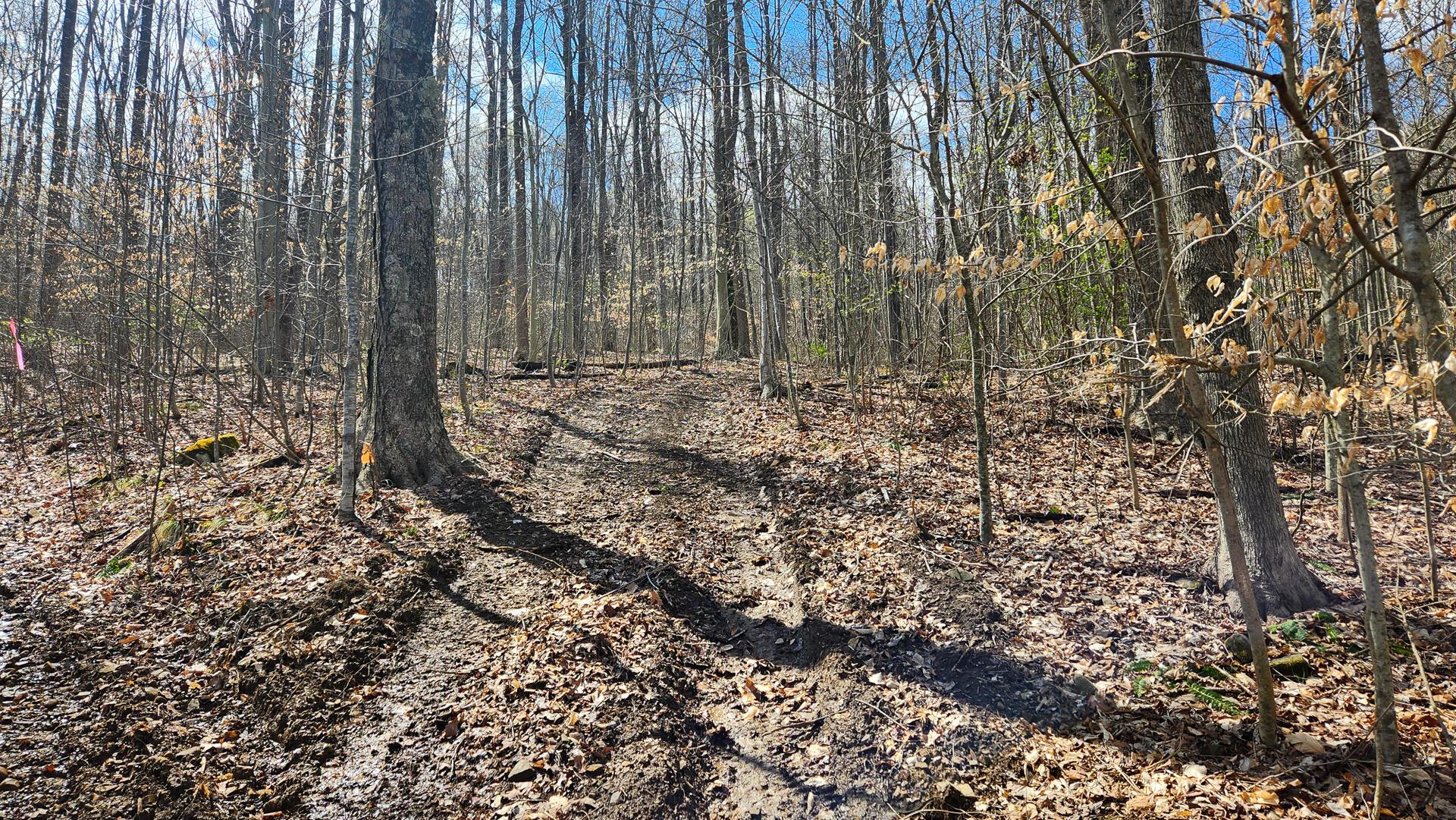 0 Pike Lake Rd Road, (tract 1 Pike Lake Getaway) Property Photo 18