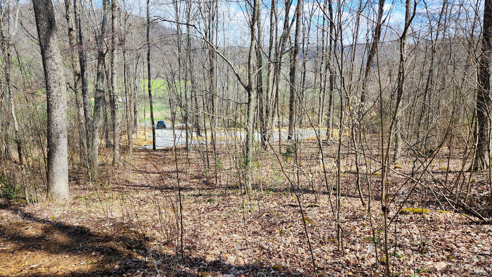 0 Pike Lake Rd Road, (tract 1 Pike Lake Getaway) Property Photo 19