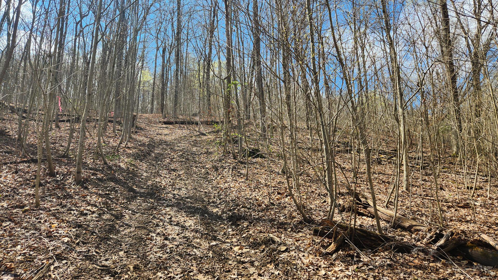 0 Pike Lake Rd Road, (tract 1 Pike Lake Getaway) Property Photo 22