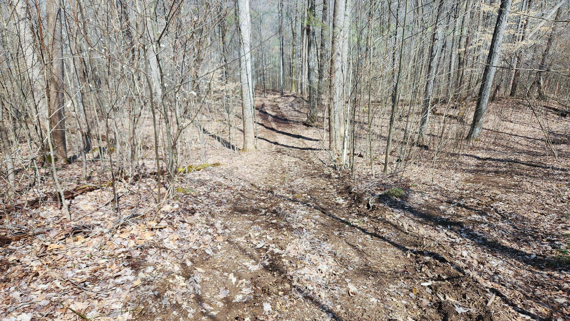 0 Pike Lake Rd Road, (tract 1 Pike Lake Getaway) Property Photo 23