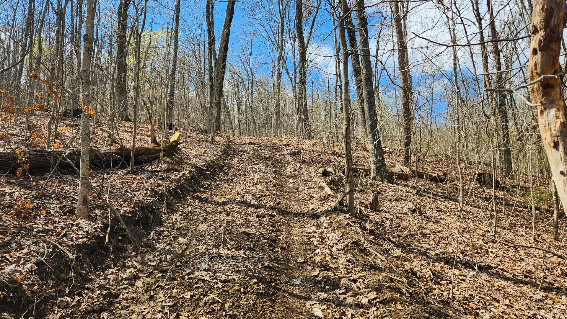 0 Pike Lake Rd Road, (tract 1 Pike Lake Getaway) Property Photo 25