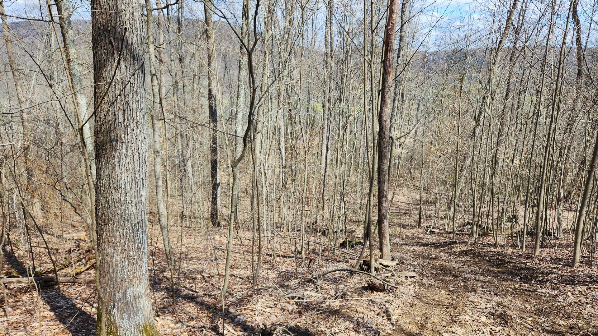 0 Pike Lake Rd Road, (tract 1 Pike Lake Getaway) Property Photo 26