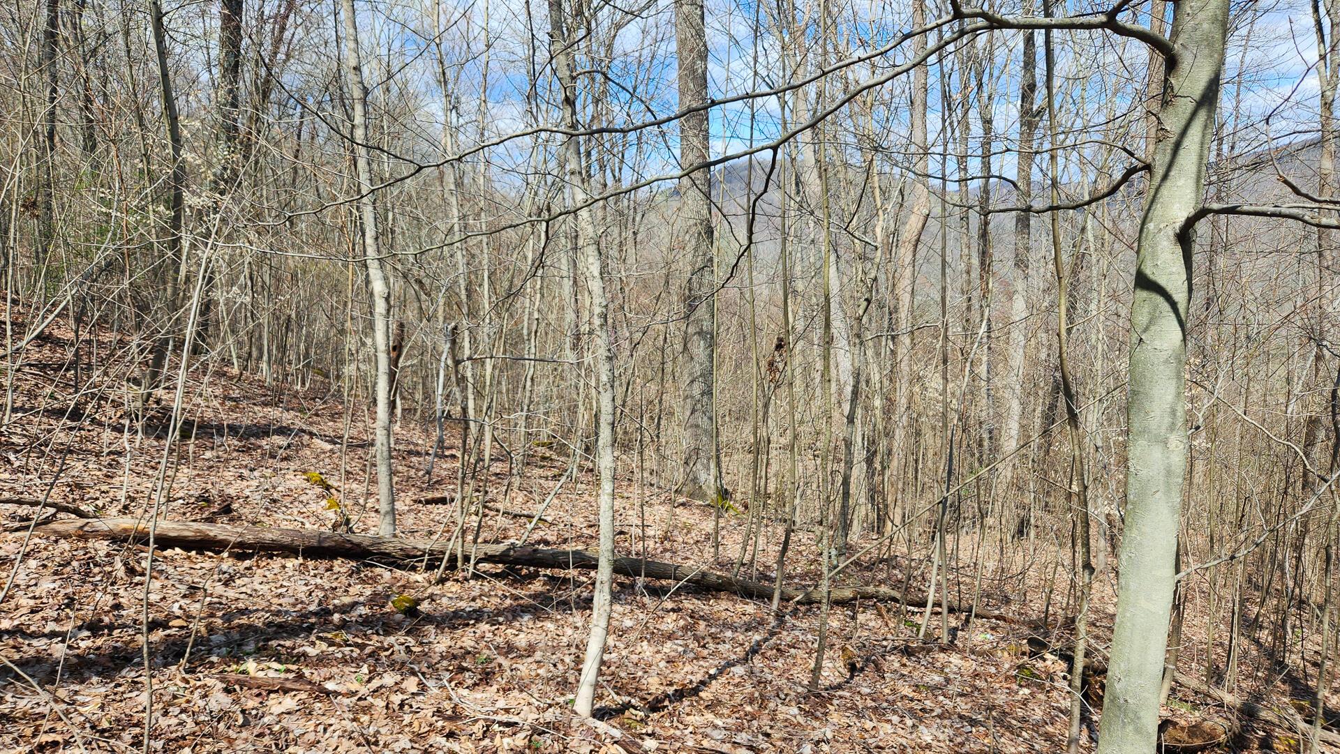 0 Pike Lake Rd Road, (tract 1 Pike Lake Getaway) Property Photo 27