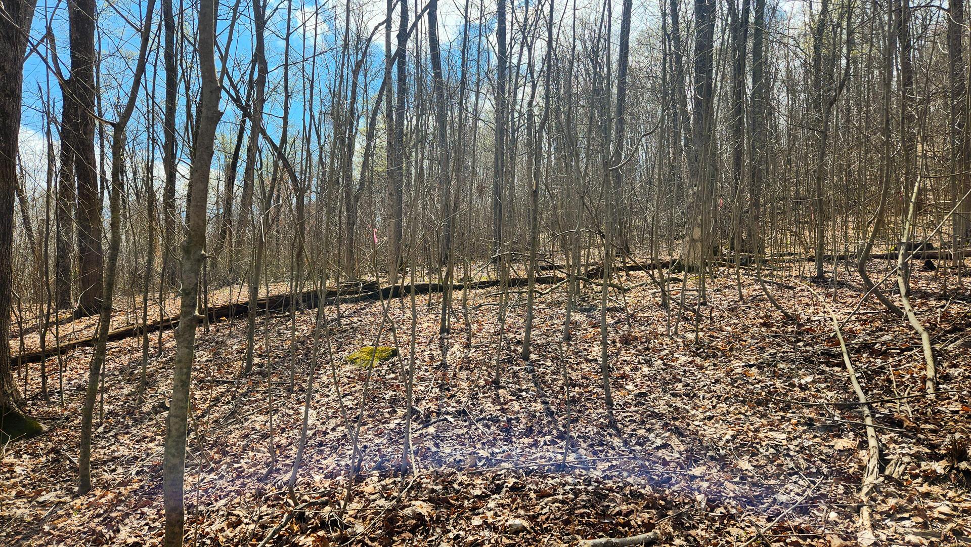 0 Pike Lake Rd Road, (tract 1 Pike Lake Getaway) Property Photo 30