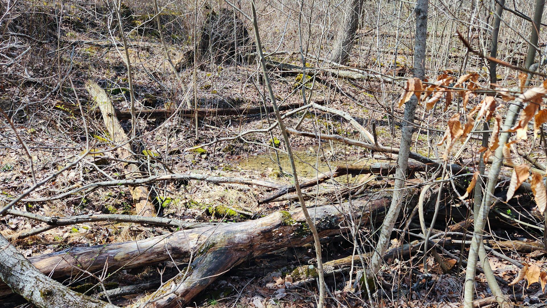 0 Pike Lake Rd Road, (tract 1 Pike Lake Getaway) Property Photo 31
