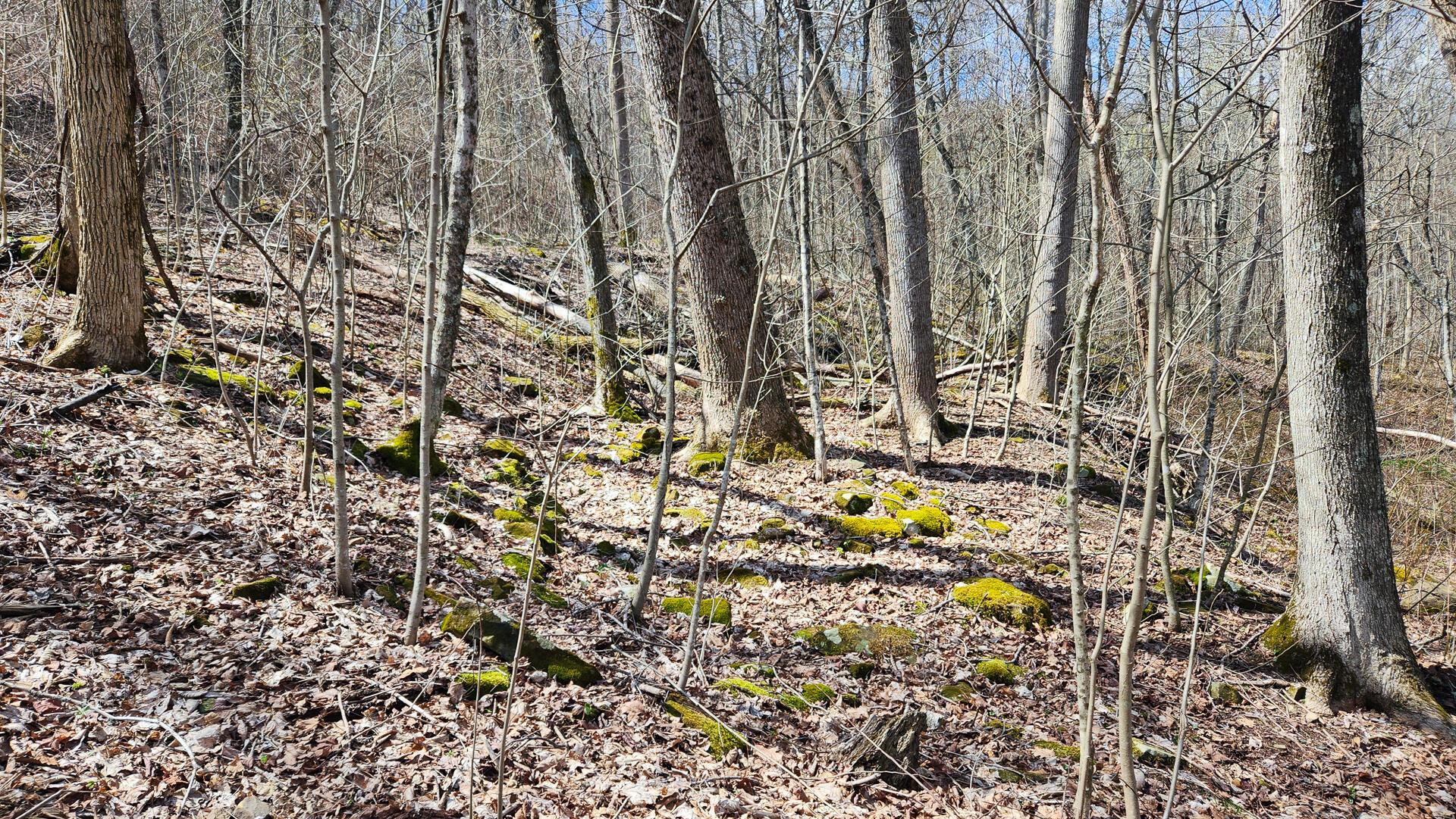 0 Pike Lake Rd Road, (tract 1 Pike Lake Getaway) Property Photo 32