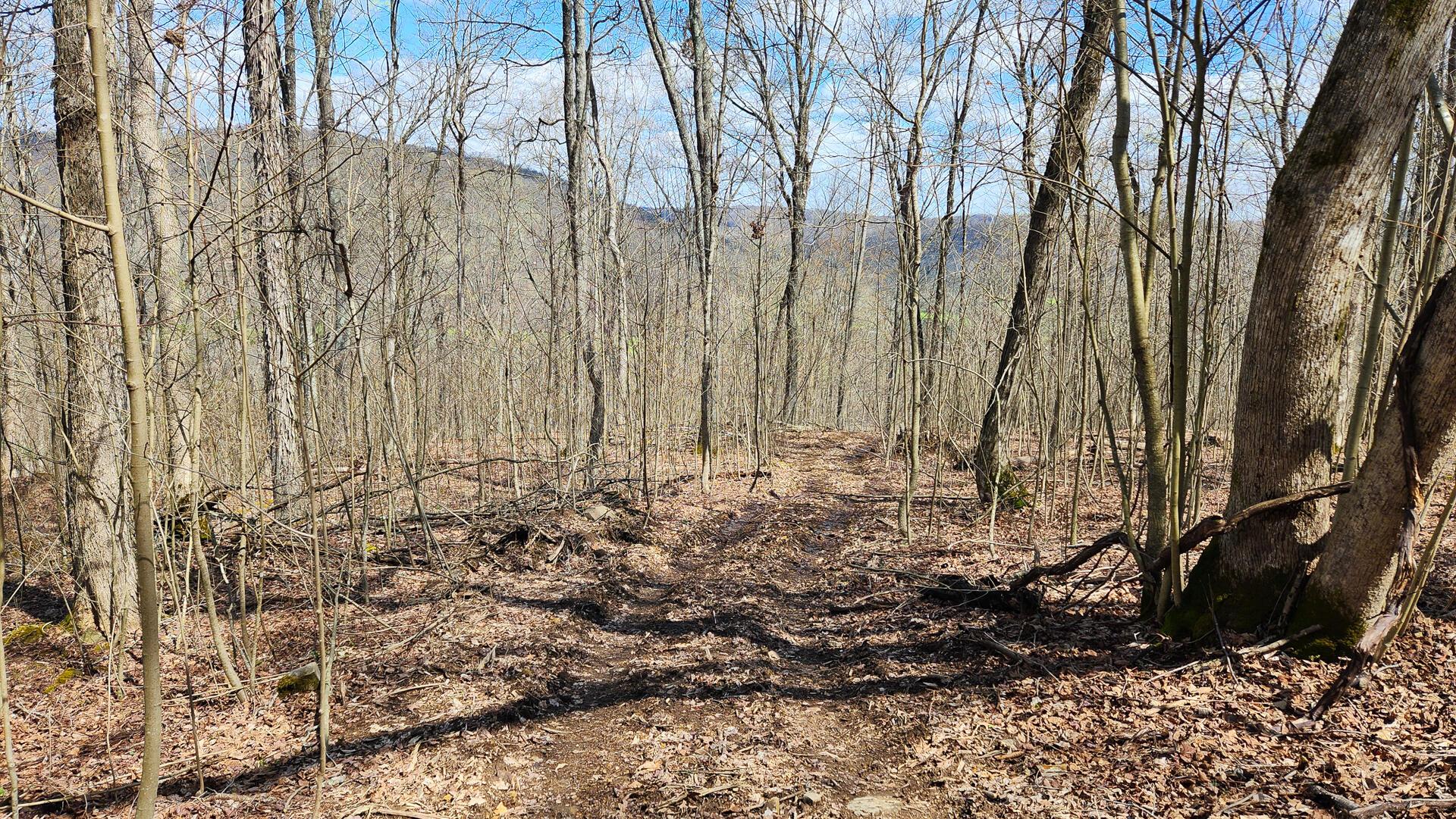 0 Pike Lake Rd Road, (tract 1 Pike Lake Getaway) Property Photo 33