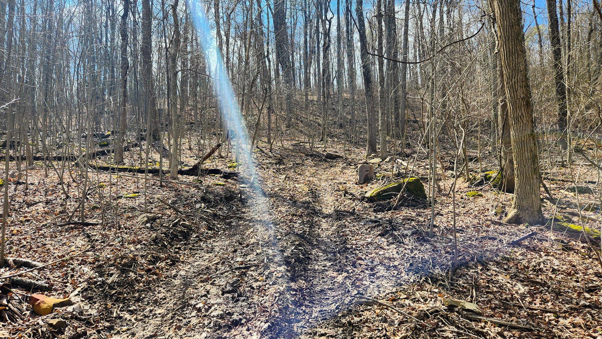0 Pike Lake Rd Road, (tract 1 Pike Lake Getaway) Property Photo 34