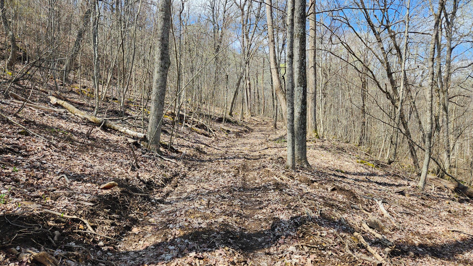 0 Pike Lake Rd Road, (tract 1 Pike Lake Getaway) Property Photo 36