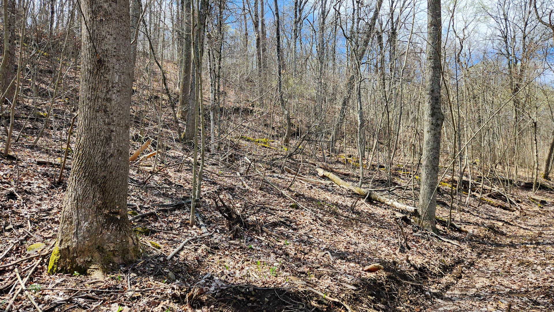 0 Pike Lake Rd Road, (tract 1 Pike Lake Getaway) Property Photo 37