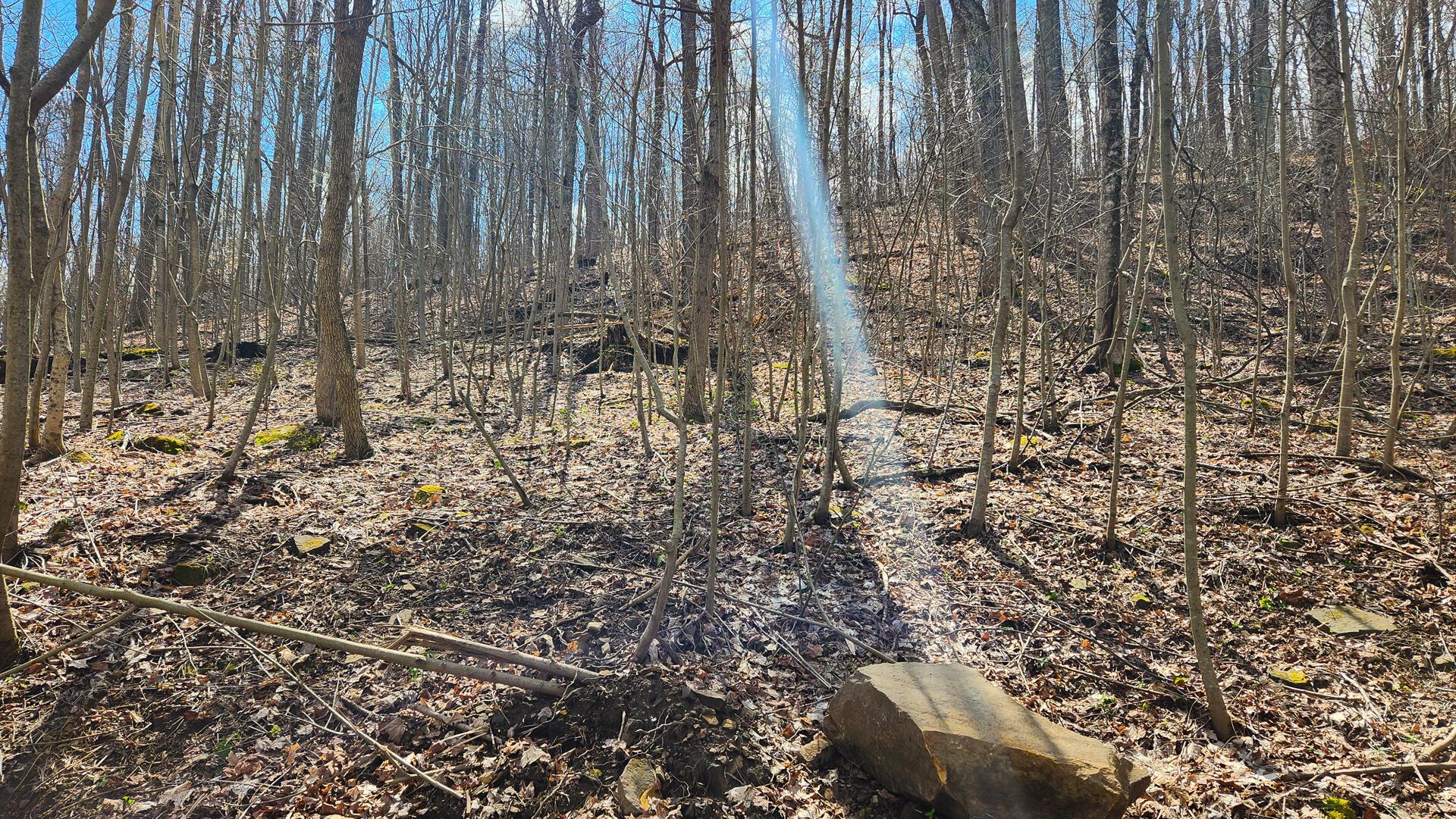 0 Pike Lake Rd Road, (tract 1 Pike Lake Getaway) Property Photo 38