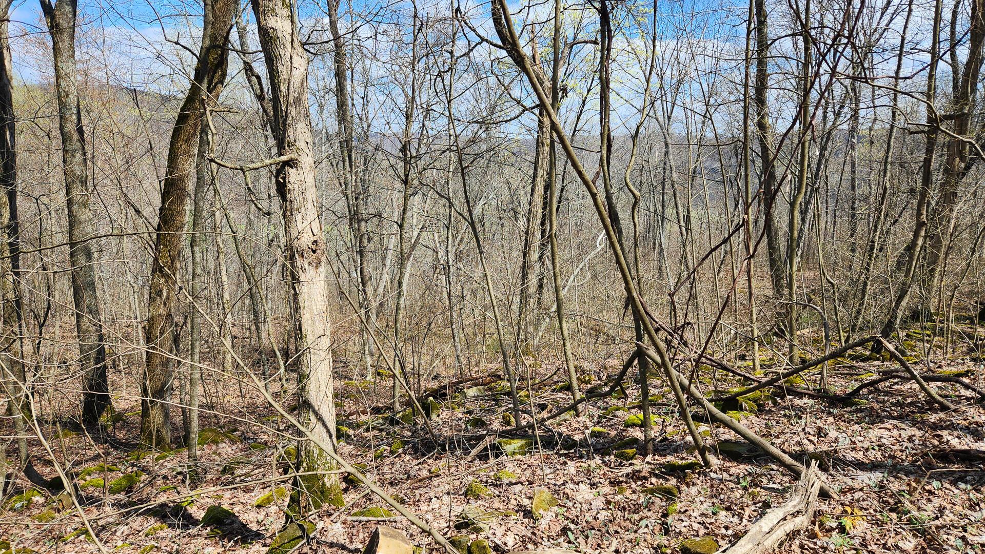 0 Pike Lake Rd Road, (tract 1 Pike Lake Getaway) Property Photo 39