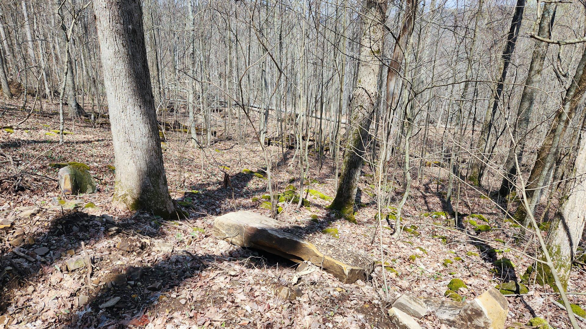 0 Pike Lake Rd Road, (tract 1 Pike Lake Getaway) Property Photo 40