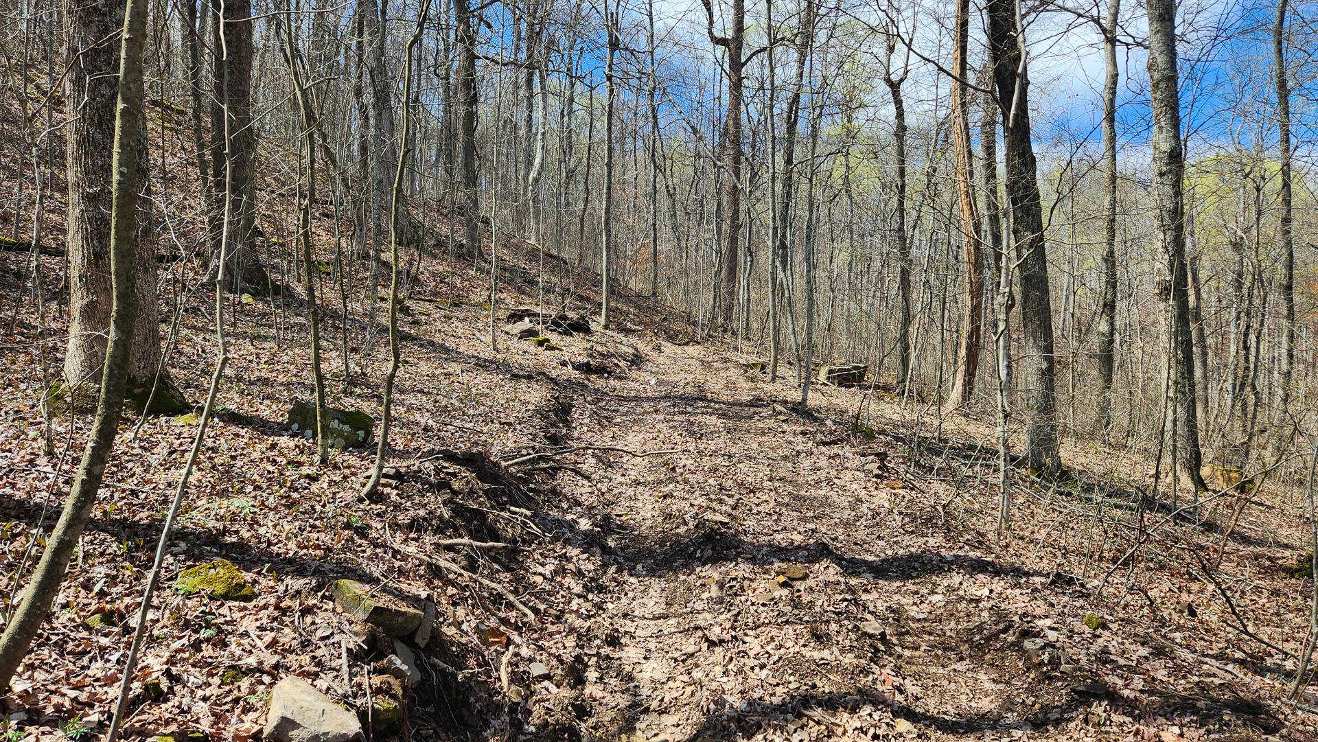 0 Pike Lake Rd Road, (tract 1 Pike Lake Getaway) Property Photo 41