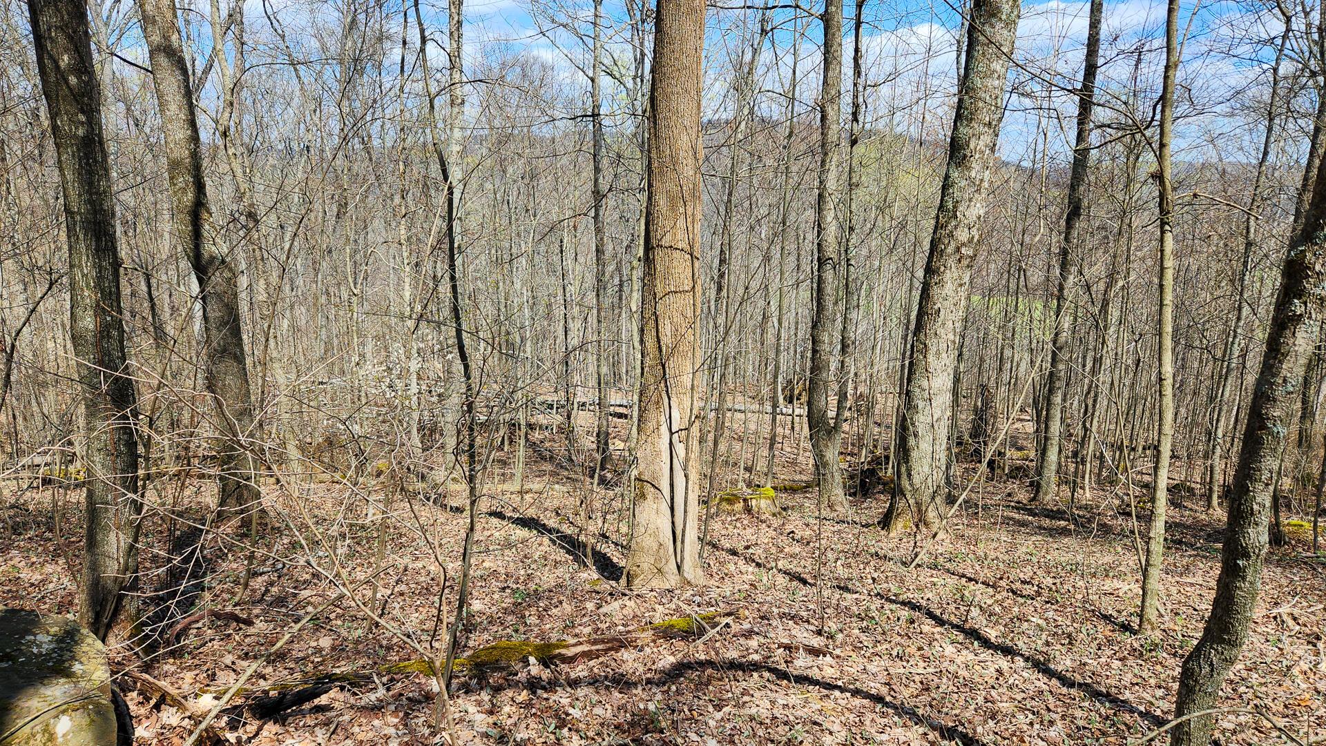 0 Pike Lake Rd Road, (tract 1 Pike Lake Getaway) Property Photo 42