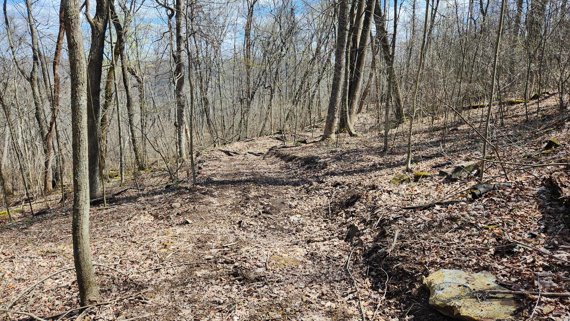 0 Pike Lake Rd Road, (tract 1 Pike Lake Getaway) Property Photo 43