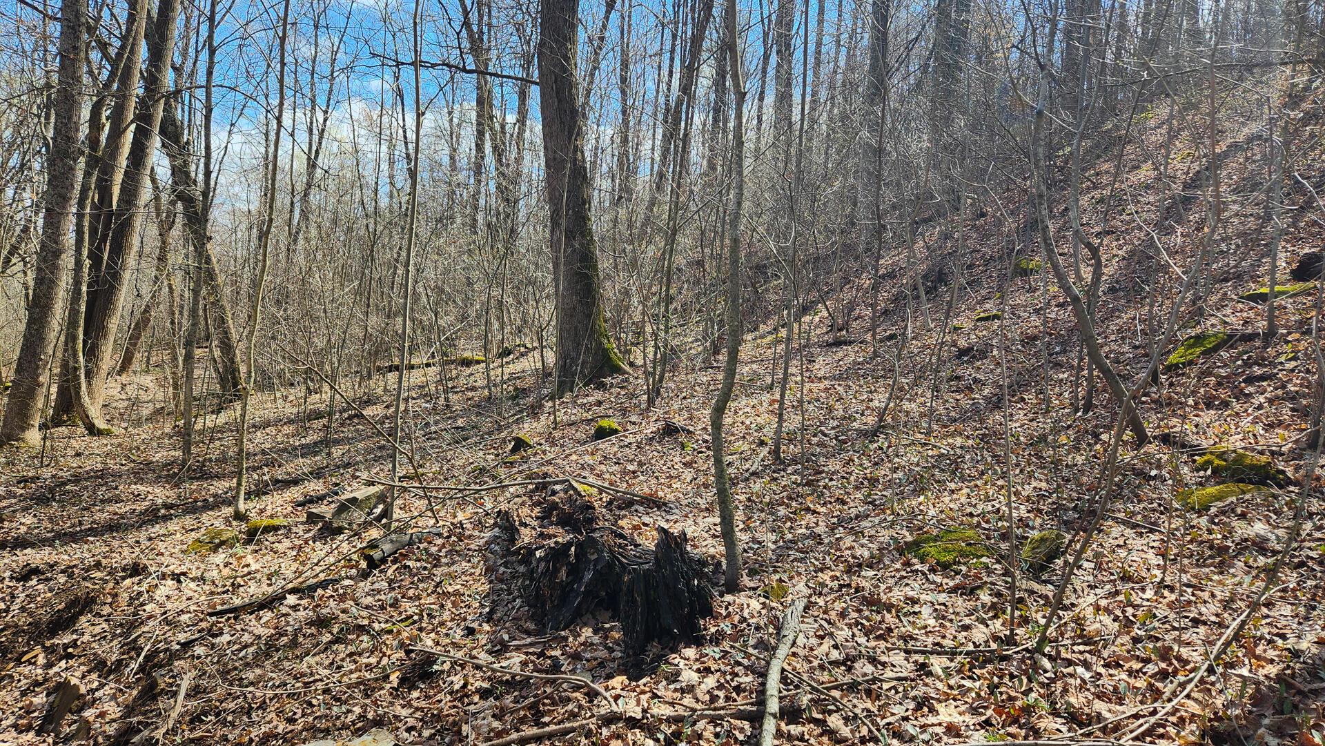 0 Pike Lake Rd Road, (tract 1 Pike Lake Getaway) Property Photo 44