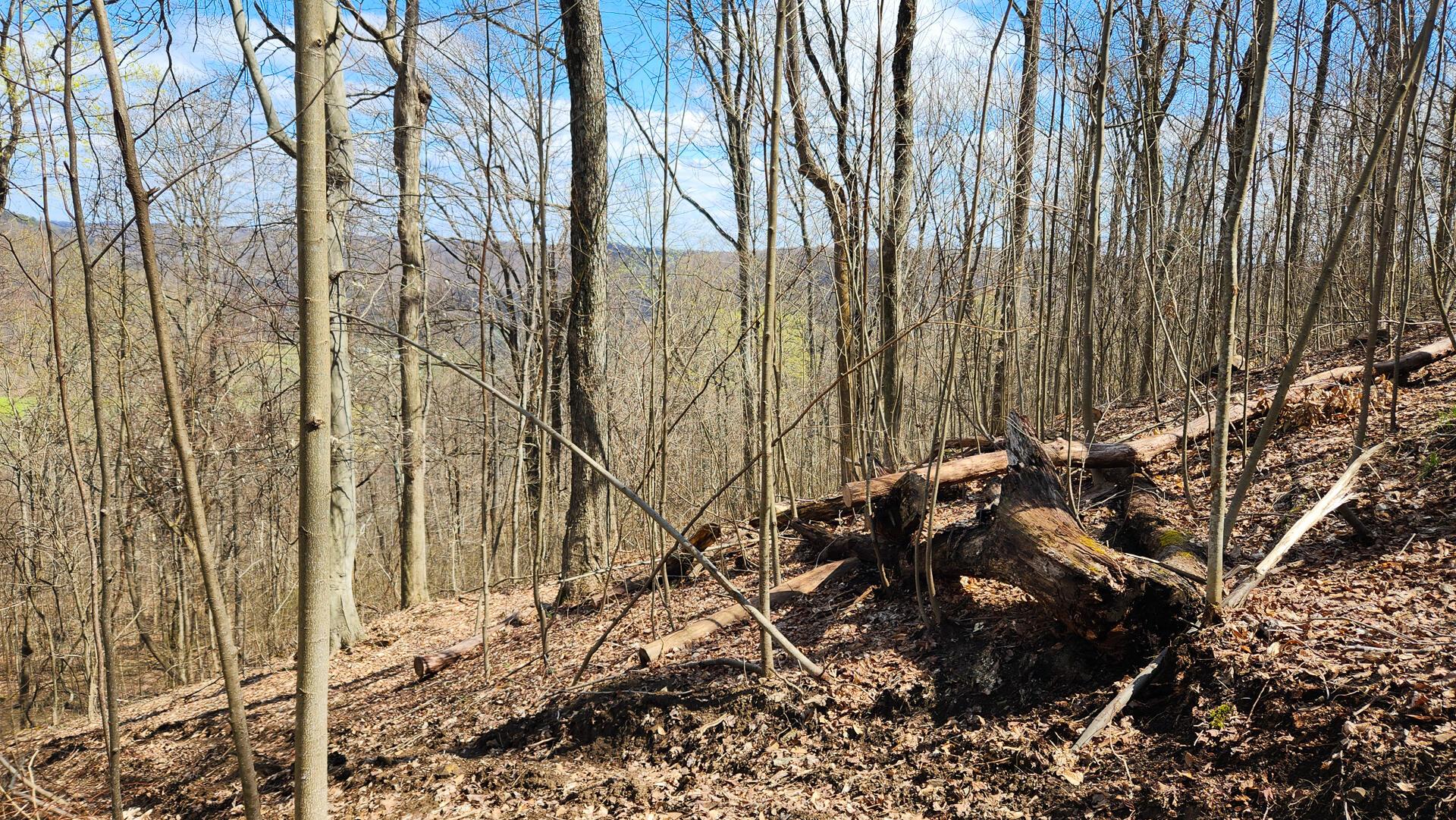 0 Pike Lake Rd Road, (tract 1 Pike Lake Getaway) Property Photo 45