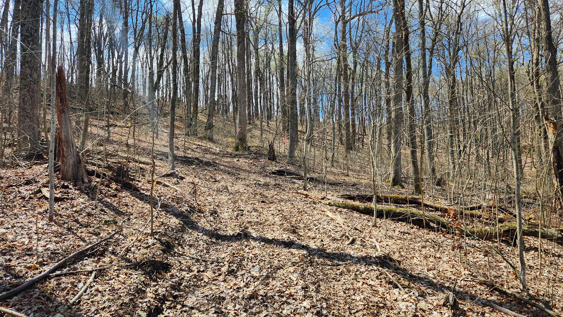 0 Pike Lake Rd Road, (tract 1 Pike Lake Getaway) Property Photo 46