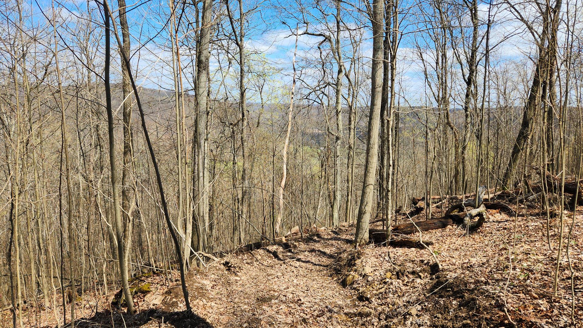 0 Pike Lake Rd Road, (tract 1 Pike Lake Getaway) Property Photo 47