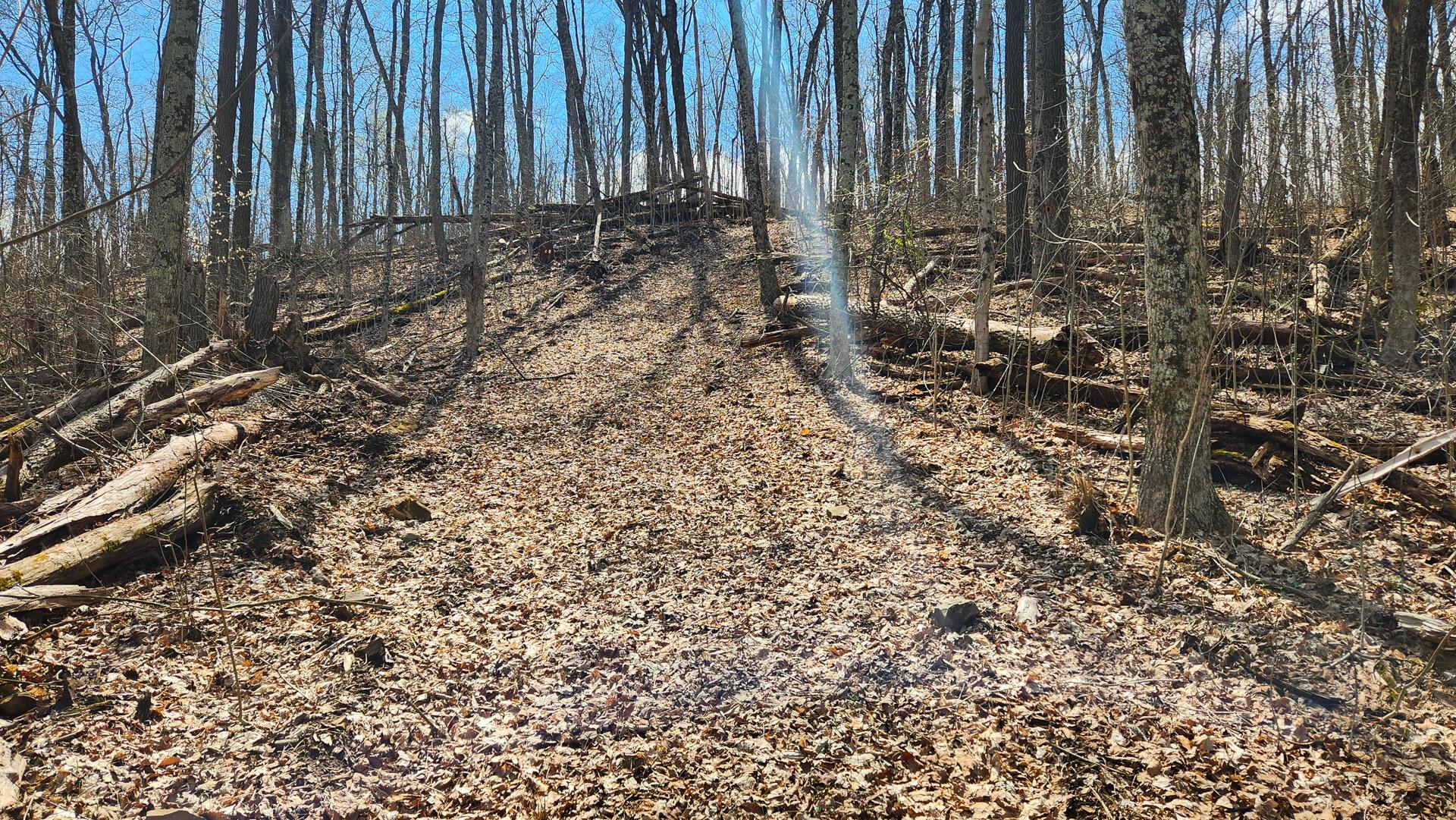 0 Pike Lake Rd Road, (tract 1 Pike Lake Getaway) Property Photo 48