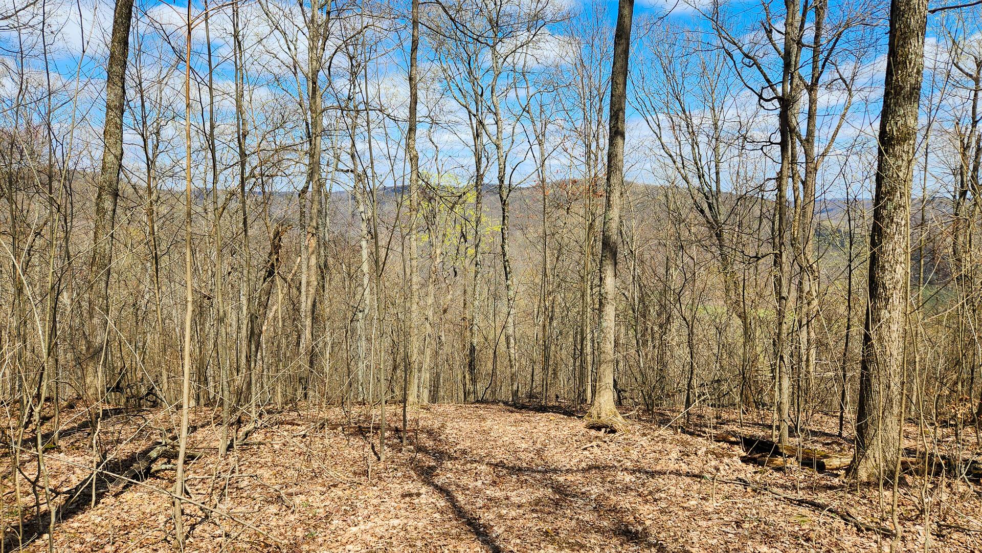 0 Pike Lake Rd Road, (tract 1 Pike Lake Getaway) Property Photo 49