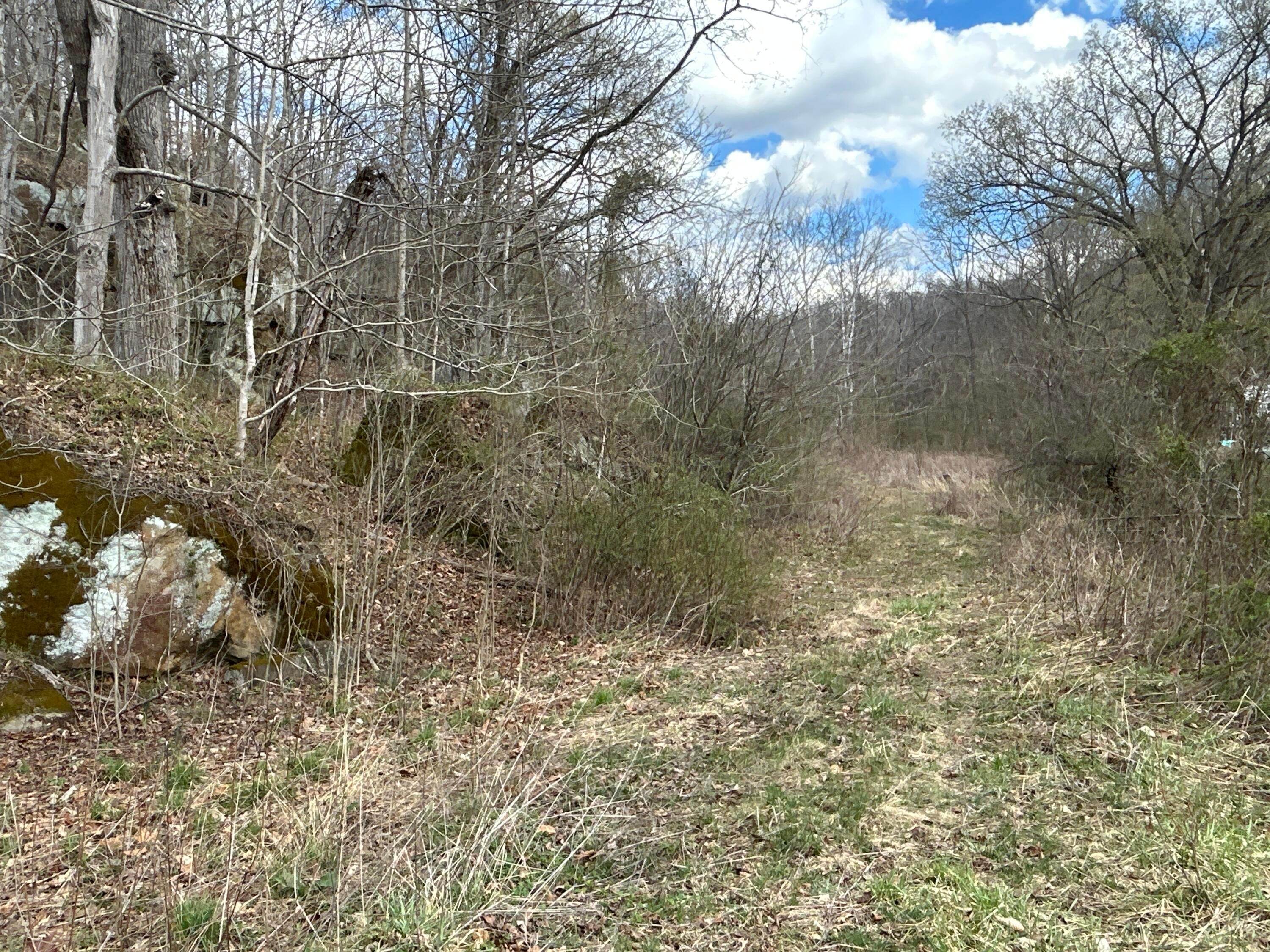 0 Cr-73 / Federal Creek Road Property Photo