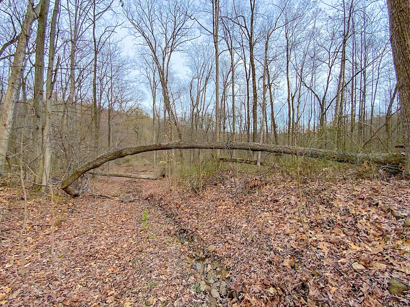 0 Beavers Ridge Road, 1 Property Photo 2