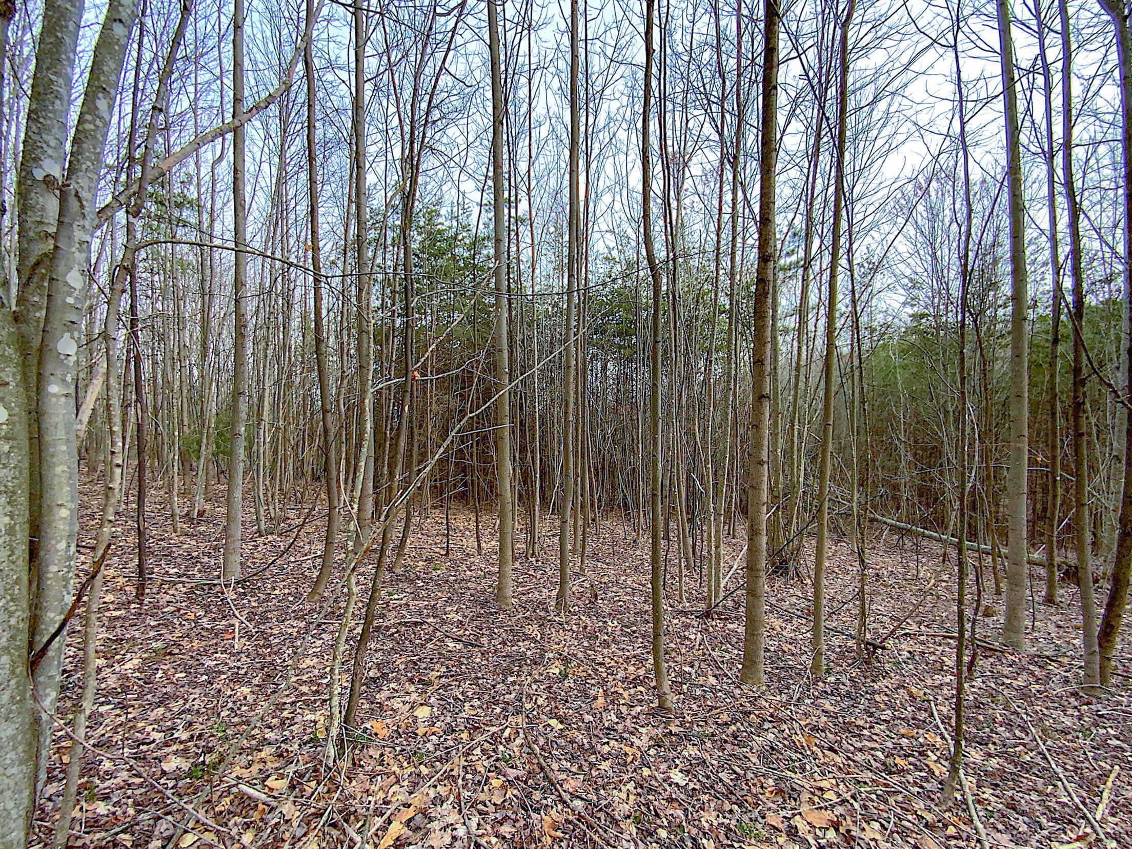 0 Beavers Ridge Road, 1 Property Photo 3